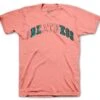 Retro 10 Super Bowl Stitched Shirt