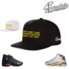 Retro DMP WIN Dad Hat -Sneaker Threads Shop jordan 13 dmp hat match defining moments 14