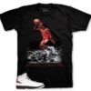 Retro 2 Chicago Poetry In Motion Shirt -Sneaker Threads Shop jordan 2 chixago sneaker tees