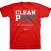 Retro 13 Red Flint Everyday Shirt -Sneaker Threads Shop sneaker tees perfect